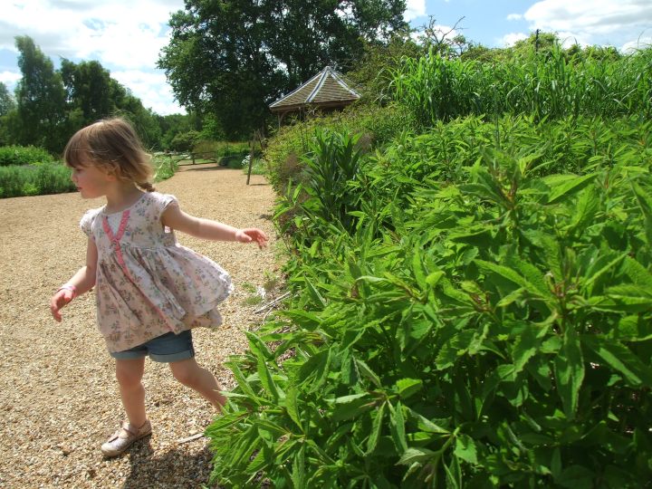 A naturally inspiring day out – Pensthorpe Natural&nbsp;Park