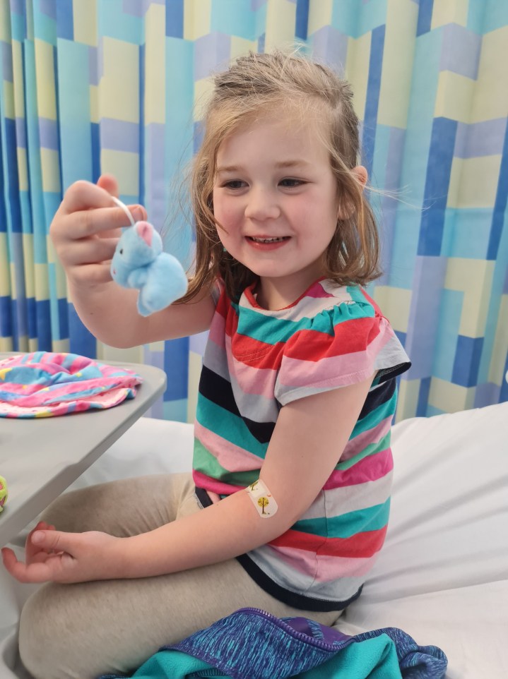 Cleo’s Pica Diagnosis