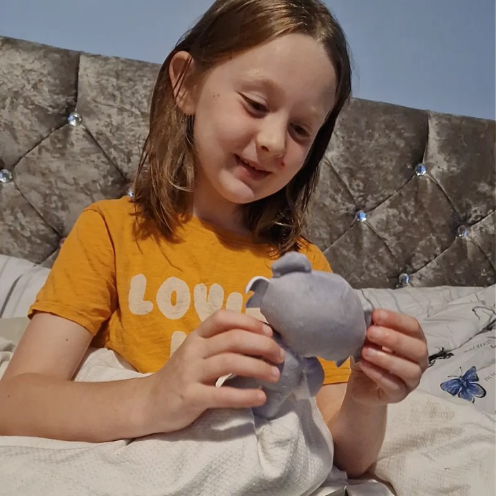 Introducing Deddy Bears